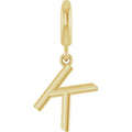 Initial Charm
